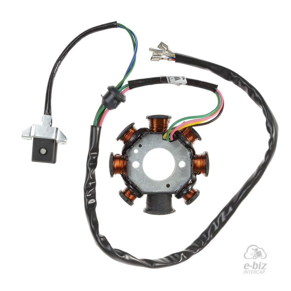 [DZE] Encendido Estator 2894 8P Aislado Masa Blitz 110 Custom 200