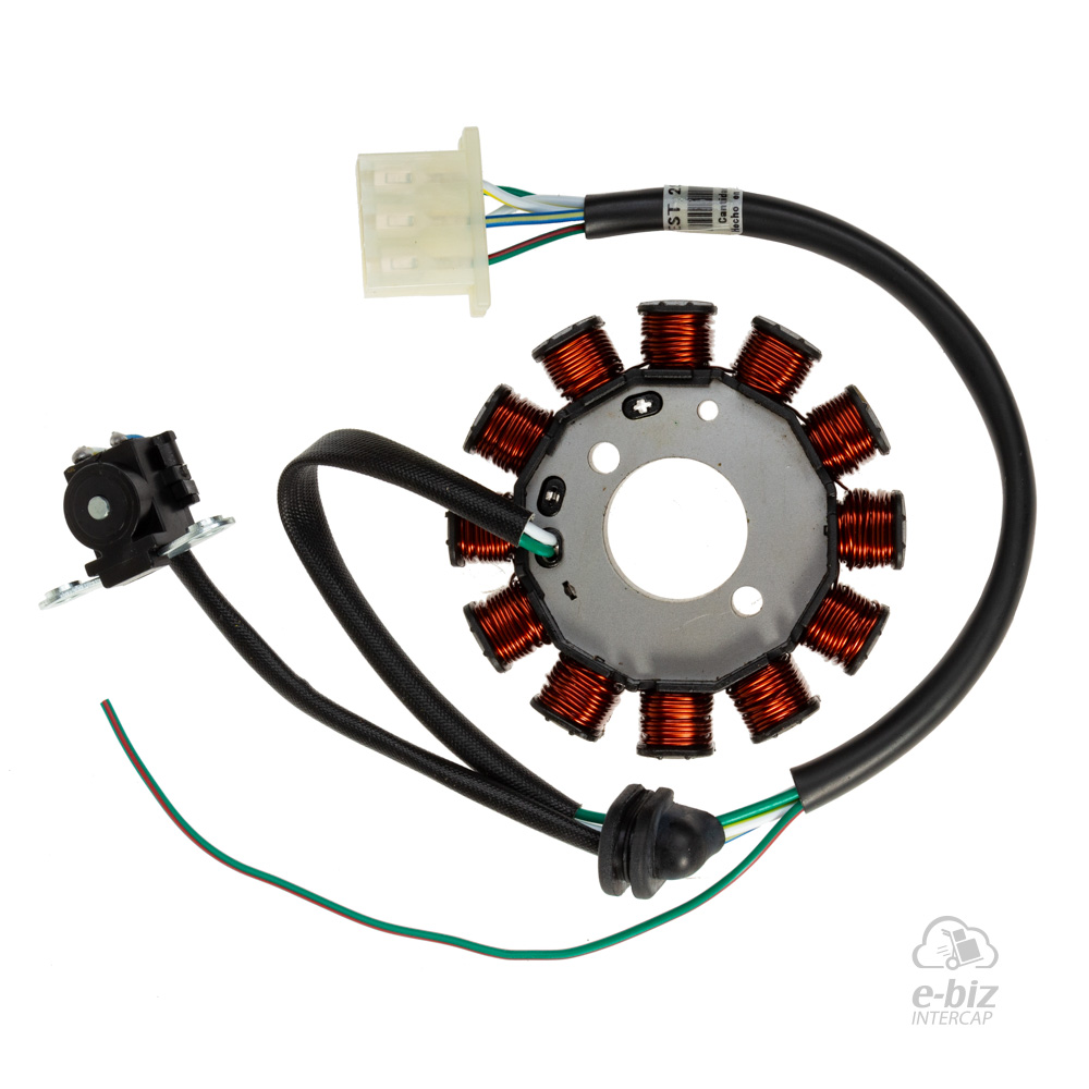 [DZE] Encendido Estator 2882 12P Conexión Masa Desde 2009 Honda Biz 125 10-11