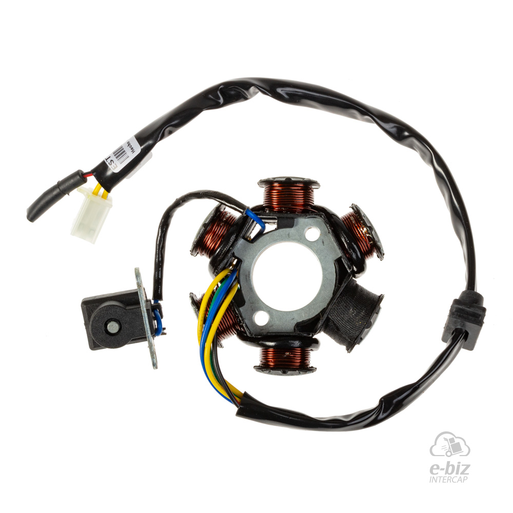 [DZE] Encendido Estator 2898 Trif. 6P Aislado Masa 100