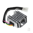 [DZE] Regulador de voltaje 2462 12V 12A Triax 150-200-250 Master 150 Skua 200-250 Dakar 200