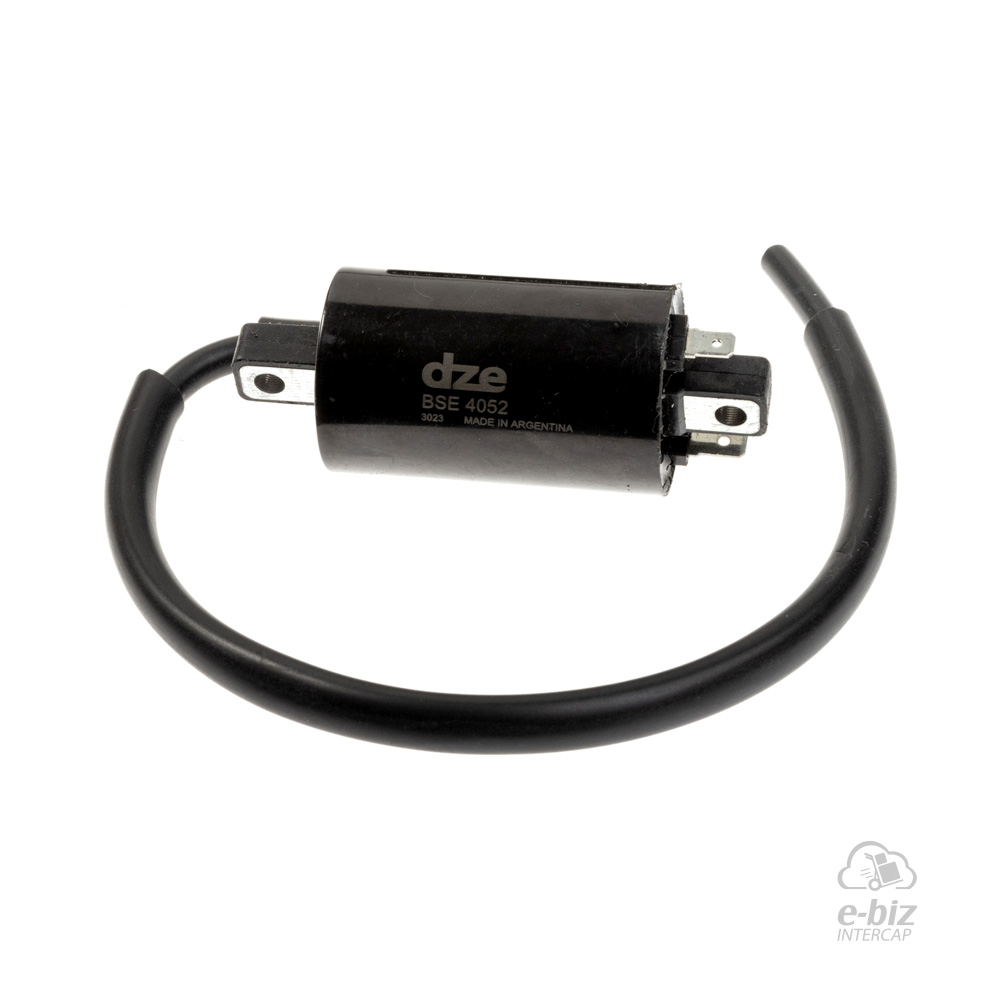 [DZE] Bobina de alta 4052 250W 125 250 Patagonian Beta Motard 200 07-24