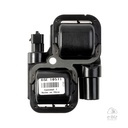 [DZE] Bobina de alta 10571 AM 800-1000 500-650-800-1000 Defender 1000