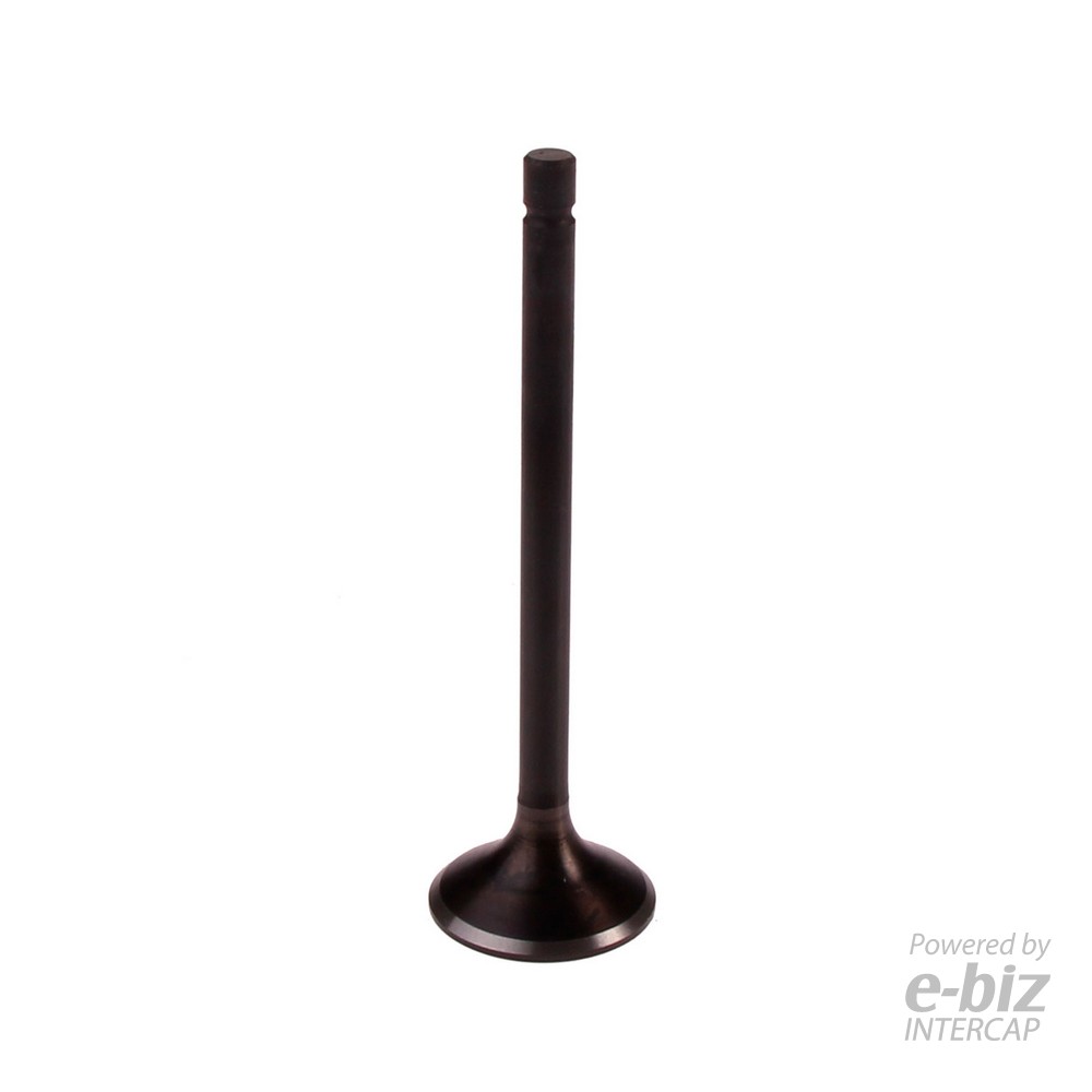 [BBB] Válvula de escape 23407-EBN XL250R
