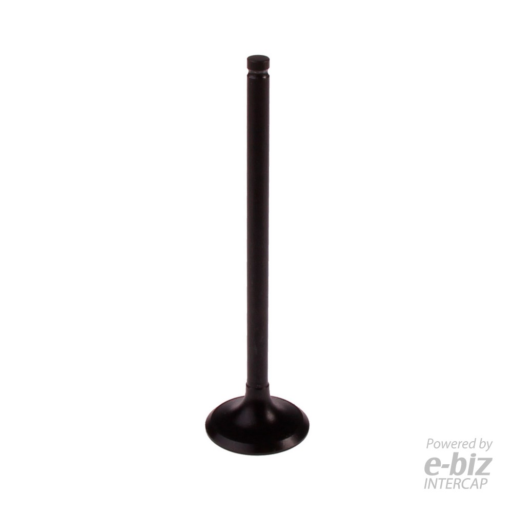 [BBB] Válvula de escape 3839-EN Titan 2004 2005