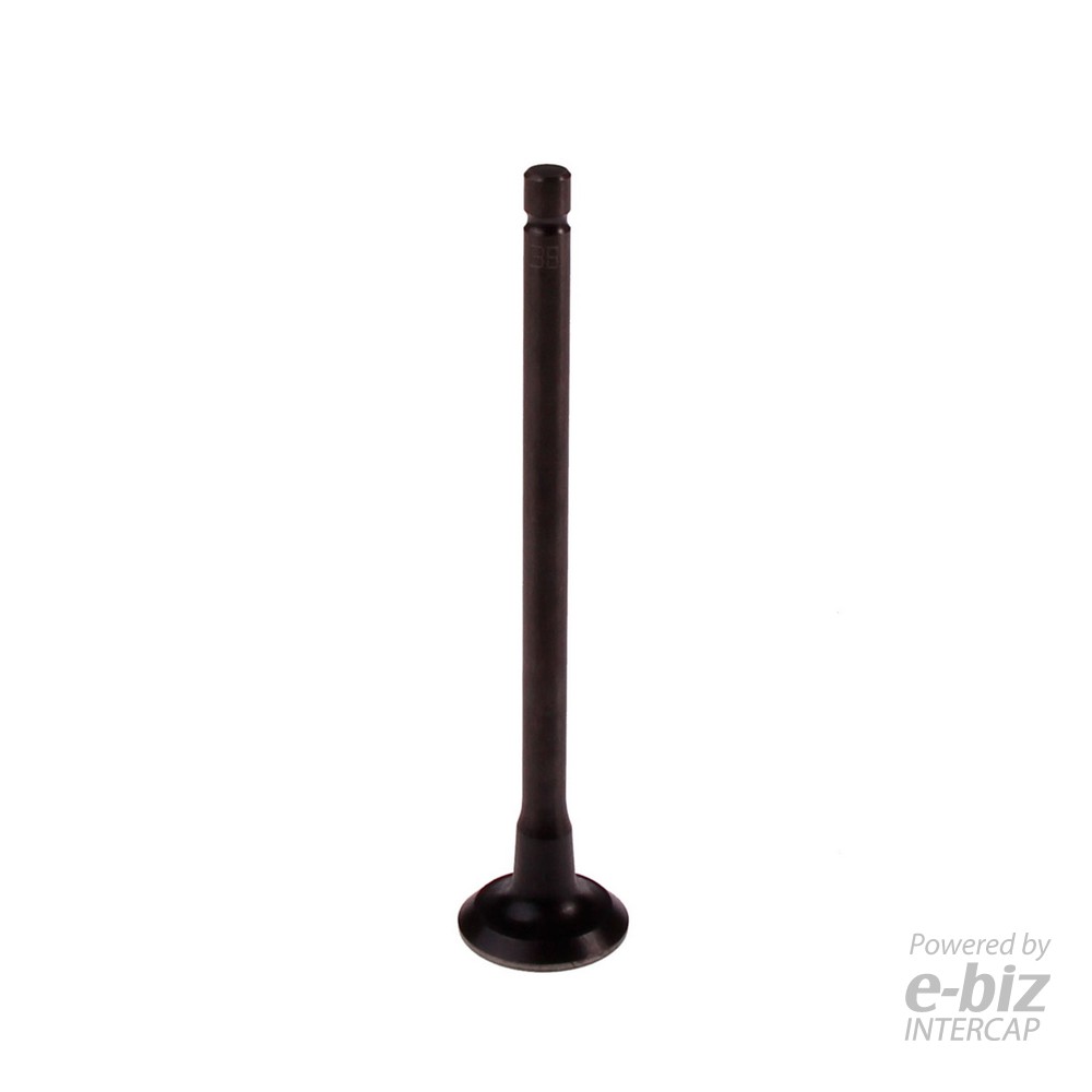 [BBB] Válvula de escape 4485-EN Rouser Pulsar 135 L1