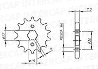 [REINF] Piñon C100 BIZ Z14