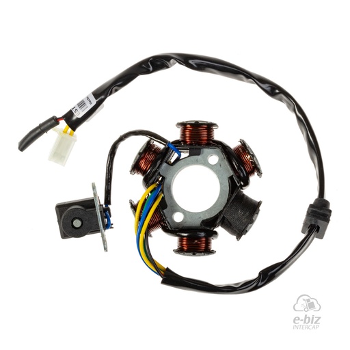 [DZE] Encendido Estator 2898 Trif. 6P Aislado Masa 100