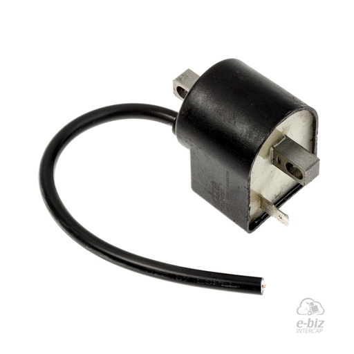 [DZE] Bobina de alta CDI 4053 AX GTO 110 MB Suzuki AX100 / Kawasaki GTO 110 / Honda MB 100