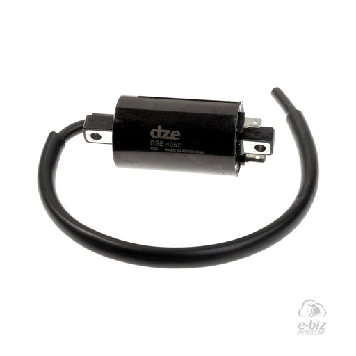 [DZE] Bobina de alta 4052 250W 125 250 Patagonian Beta Motard 200 07-24