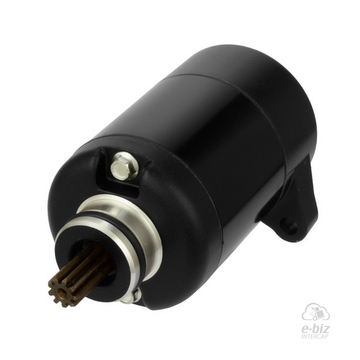 [DZE] Motor de arranque (Giro derecho) 10363 Bajaj Rouser NS 200 2018